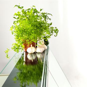 img_lightbox_thumbnail
