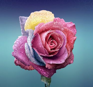 News from florists show in Slaskie Centrum Florystyczne Rekpol