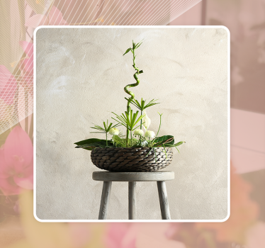 woman flower arranger, ikebana