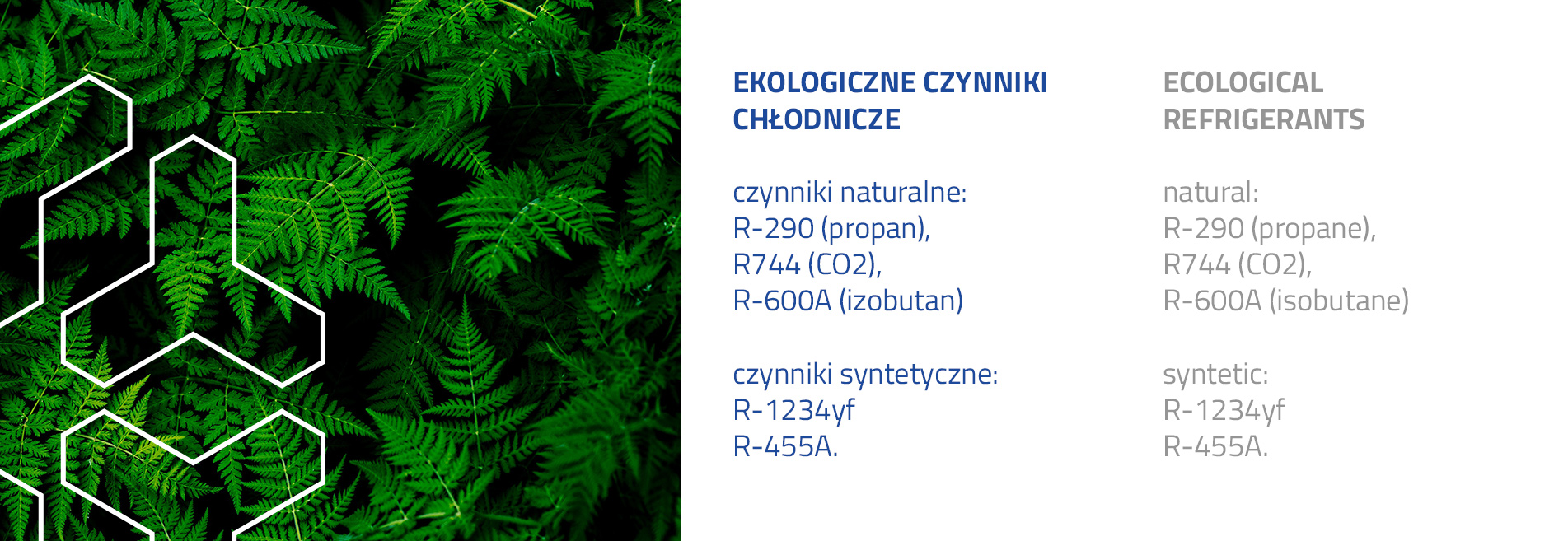 Dopuszczone czynniki 